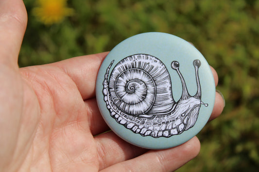 Snail Magnets
