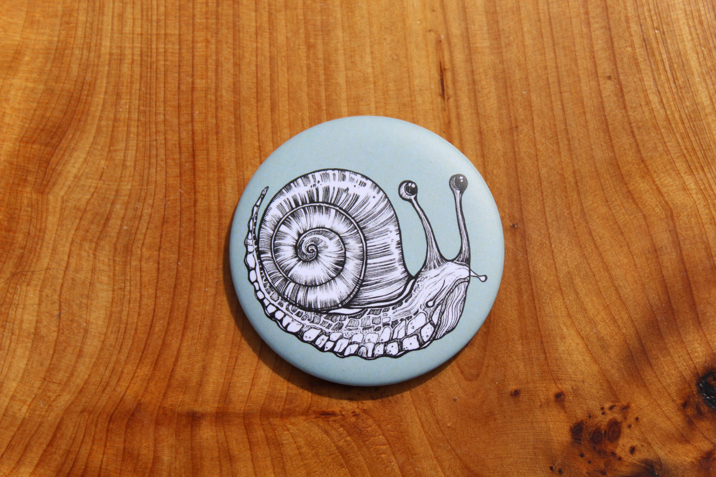 Snail Magnets