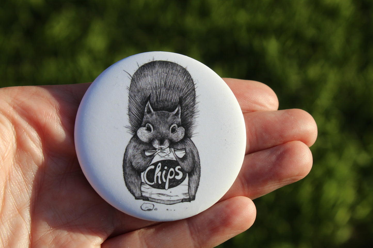 Chippy The Squirrel Magnets