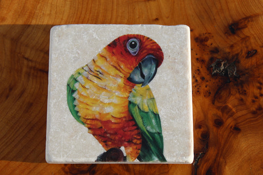 Parrot Coaster