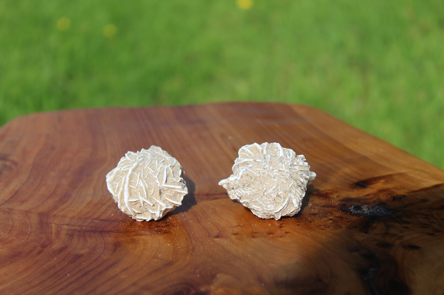 Selenite Desert Rose