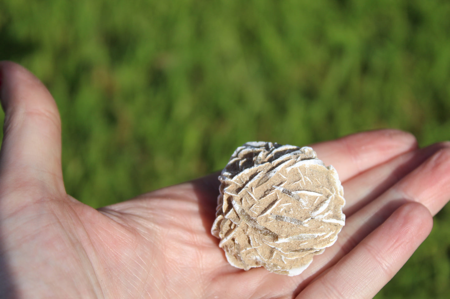 Selenite Desert Rose