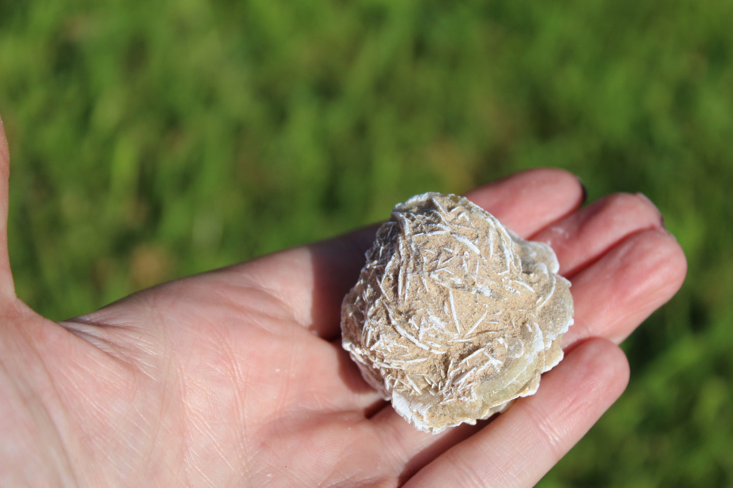 Selenite Desert Rose