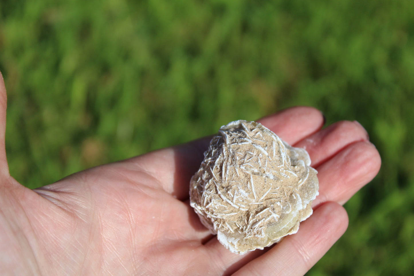 Selenite Desert Rose