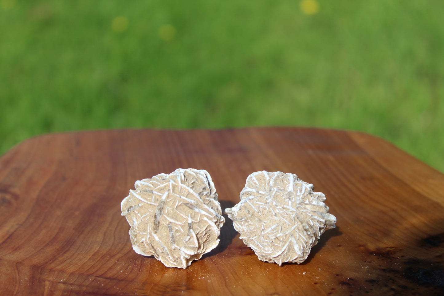 Selenite Desert Rose