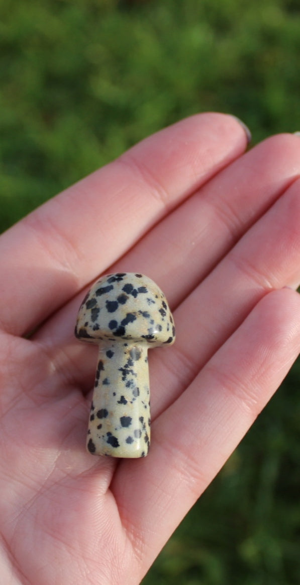 Dalmatian Jasper Small Mushroom Carving.